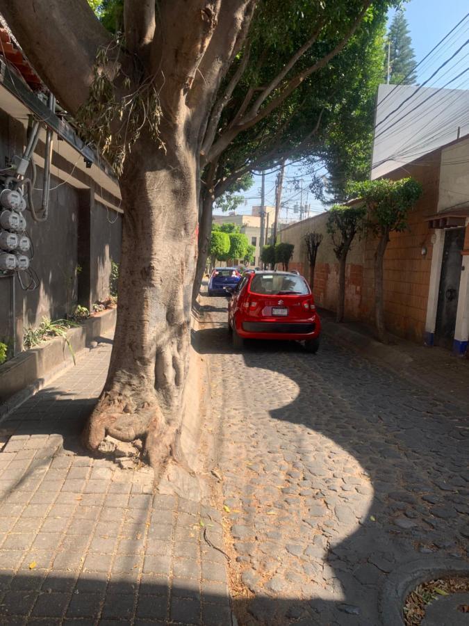 Coyoacan Magico México DF Exterior foto